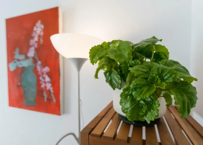 Apartamento La Galeria De San Antonio